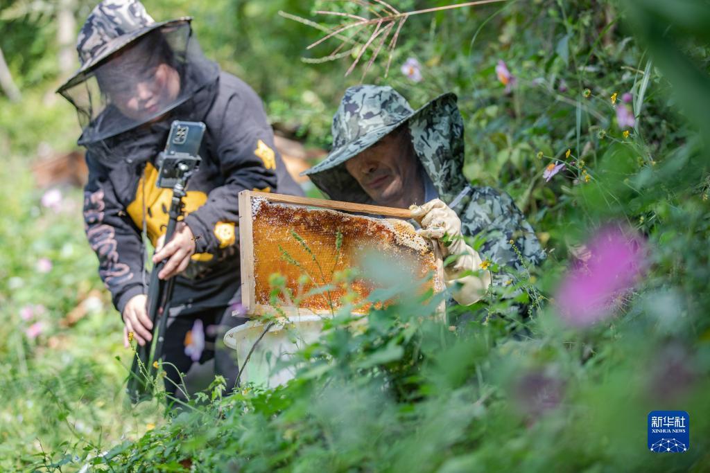 淘金大满贯下载